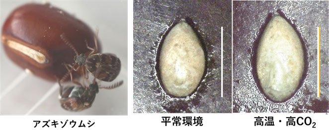 ER5_1108.jpg