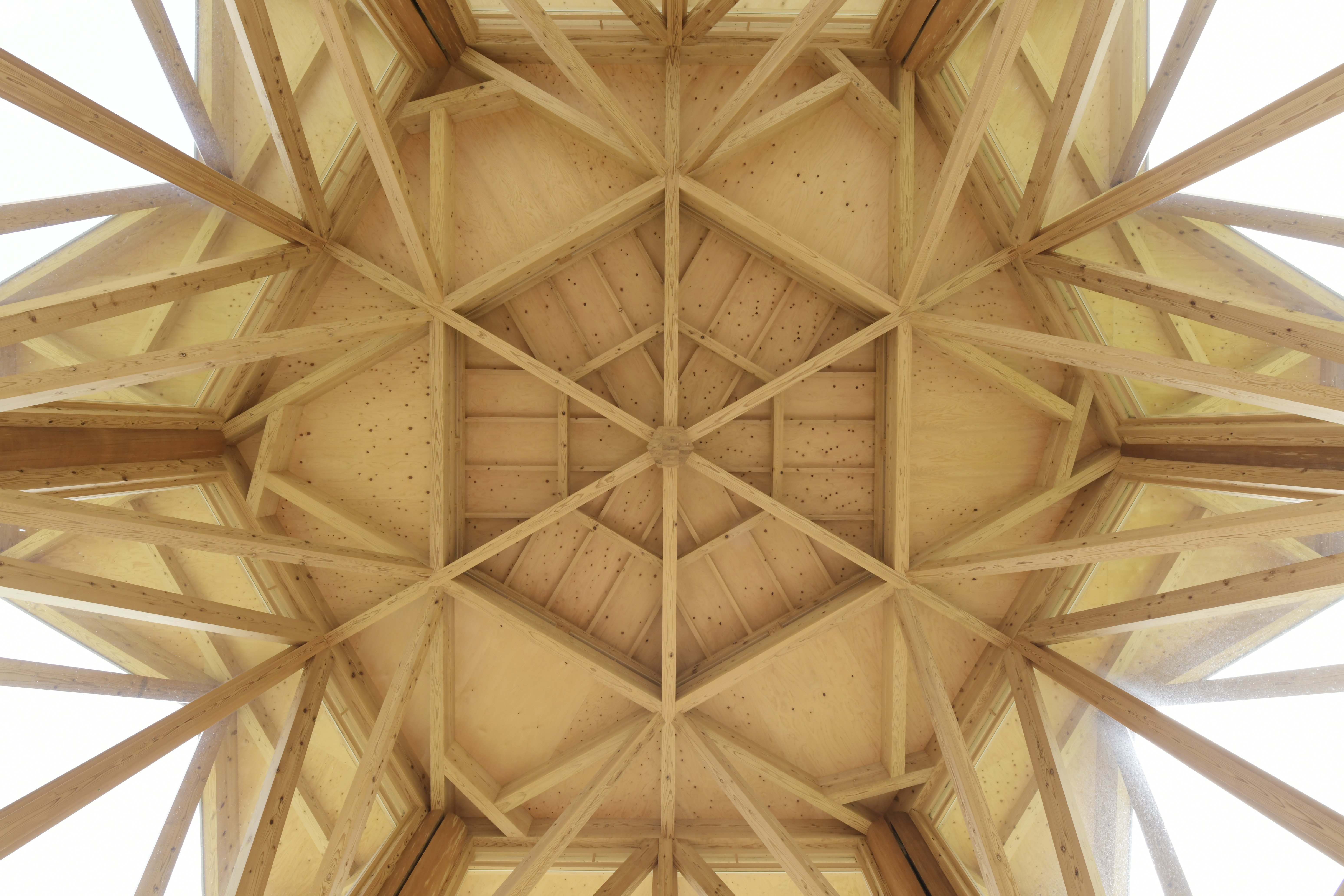 ER5_1108.jpg